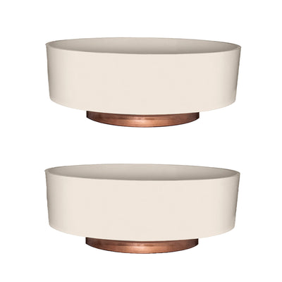 The HC Companies 6 Inch Capri Bowl Indoor Succulent Pot, Vanilla Bisque (2 Pack) - VMInnovations
