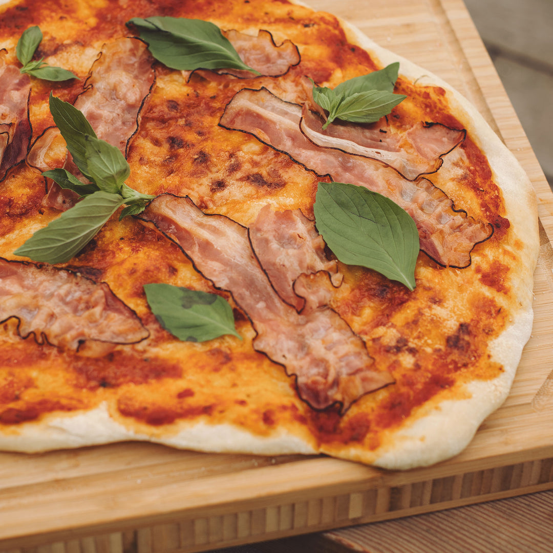 Razor Griddle 19 Inch Portable 1 Burner LP Propane Gas Grill, Steel (For Parts) - VMInnovations