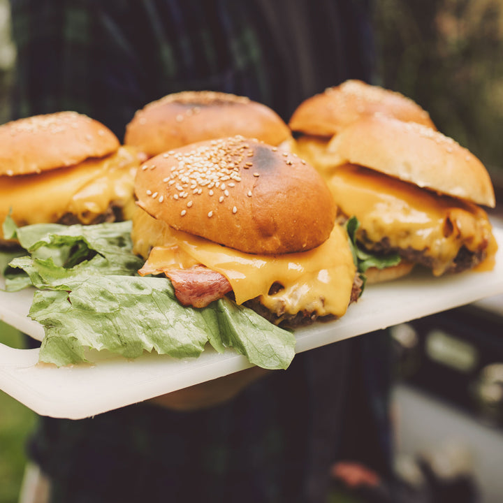 Razor Griddle 19 Inch Portable 1 Burner LP Propane Gas Grill, Steel (For Parts) - VMInnovations