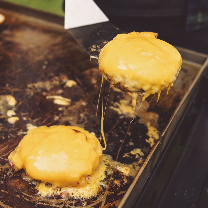 Razor Griddle 25 Inch Portable 2 Burner LP Propane Gas Grill, Steel (Used) - VMInnovations