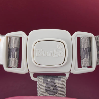 Bumbo Baby Infant Soft Foam Floor Seat with 3 Point Adjustable Harness, Grape (For Parts)
