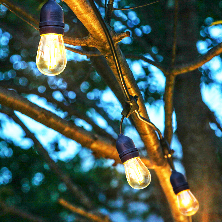 Brightech Ambience Edison White LED Waterproof String Lights, 48 Ft. (Open Box)