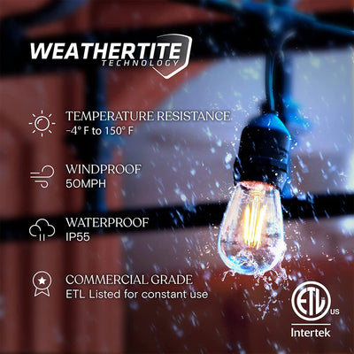 Brightech Ambience Pro Edison Black LED Waterproof String Lights, 48 Ft. (Used) - VMInnovations