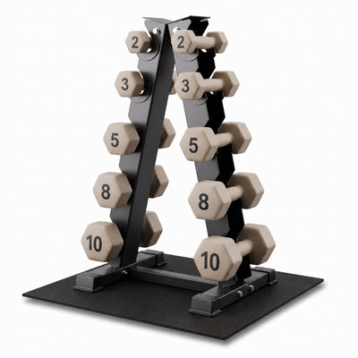 Aurorafy Neoprene Dumbbell Workout Set with Rack, 2, 3, 5, 8, & 10lbs, Beige