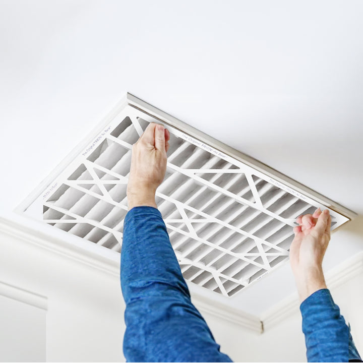 Trion Air Bear 20x25x5 Inch MERV 11 Air Purifier Filter (3 Pack) (Open Box) - VMInnovations