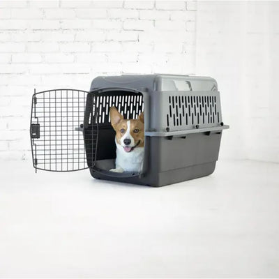 Aspen Pet Porter 26 Inch Hard Sided Travel Crate Carrier Kennel, Black and Gray