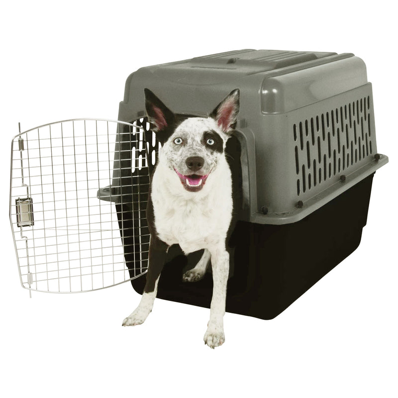 Aspen Pet Porter 32 Inch Travel Crate Carrier Kennel, Black and Gray (Open Box)