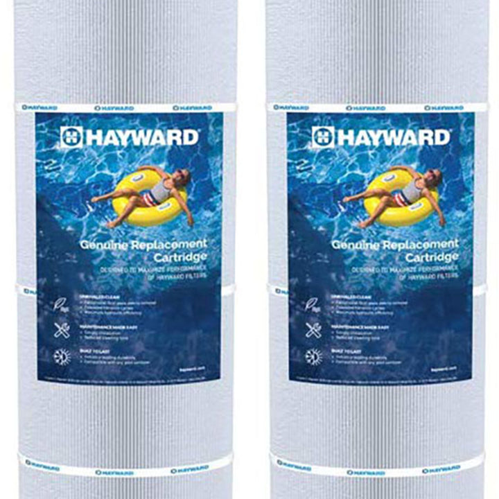 Hayward CX481XREPAK4 Replacement Cartridge for Hayward SwimClear Filters (Used)