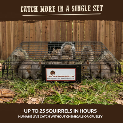 Rugged Ranch Squirrelinator Live Squirrel Chipmunk Metal 2 Door Trap (For Parts)