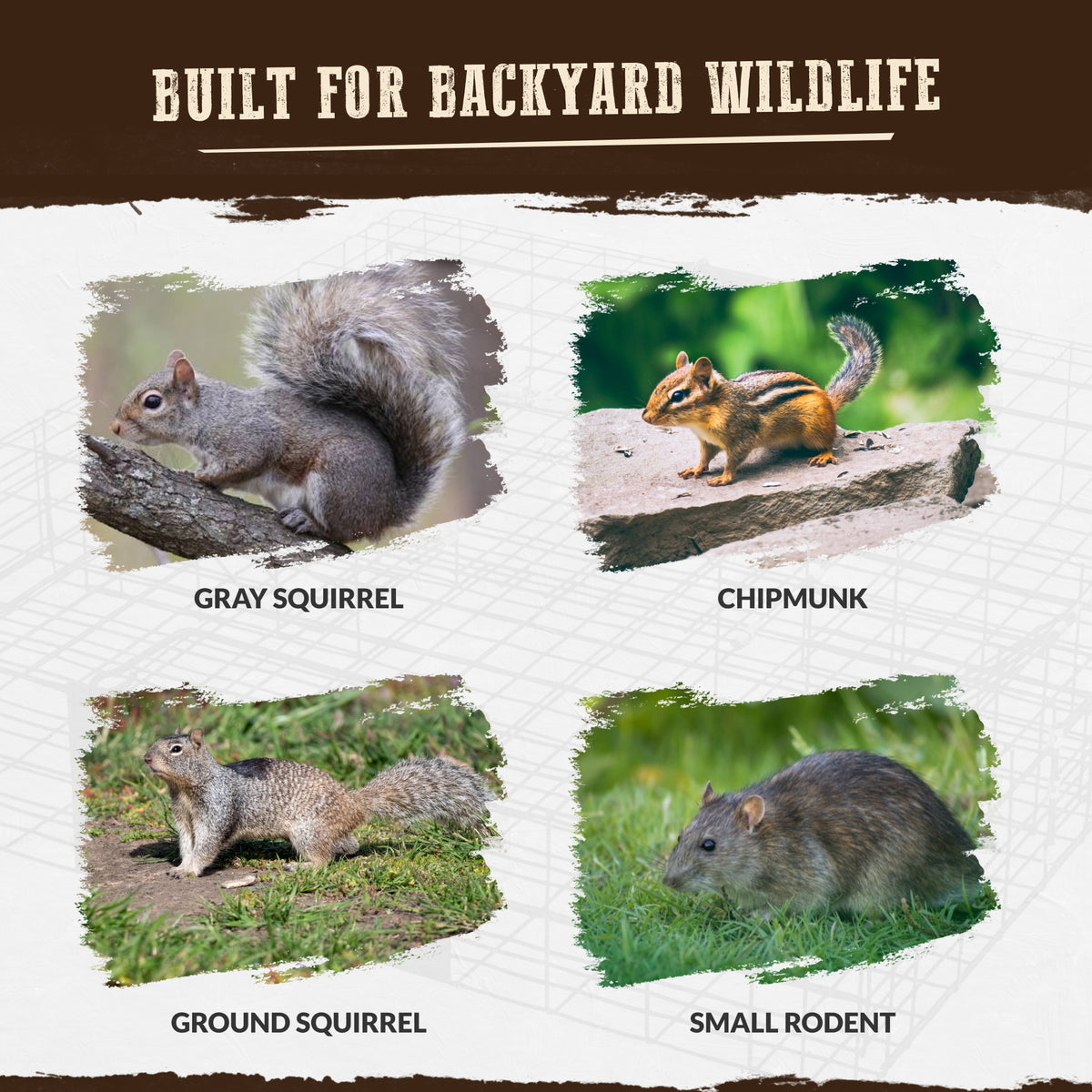Rugged Ranch Squirrelinator Live Squirrel Chipmunk Metal 2 Door Trap (For Parts)