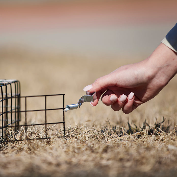 Rugged Ranch SQRTO Squirrelinator Trap CatchMor Live Animal 2 Door Metal Cage - VMInnovations