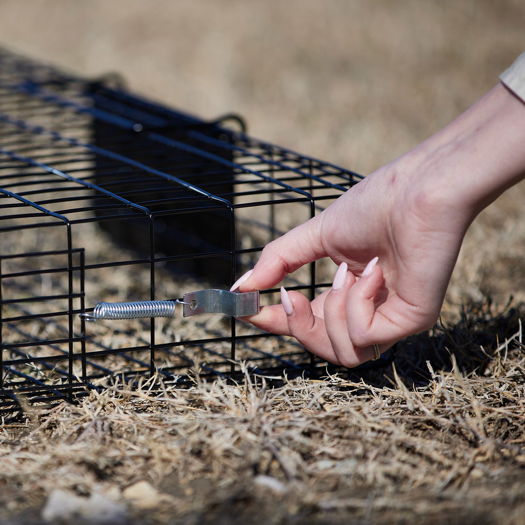 Rugged Ranch Squirrelinator Live Squirrel Chipmunk Metal 2 Door Cage (Open Box)