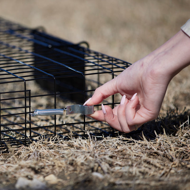 Rugged Ranch Squirrelinator Live Squirrel Chipmunk Metal 2 Door Cage (Open Box) - VMInnovations