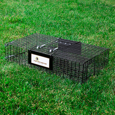 Rugged Ranch RATTR Ratinator Live Rat Multi-Catch Animal Metal 2 Door Trap Cage