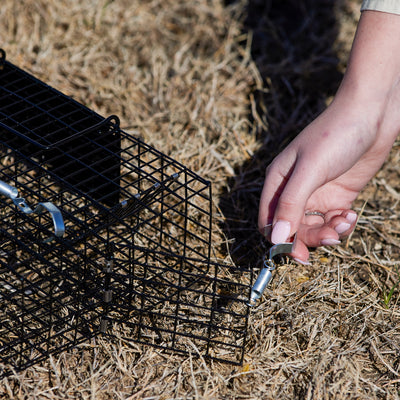 Rugged Ranch Chipmunkinator Chipmunk Squirrel Metal 2 Door Trap Cage (4 Pack) - VMInnovations