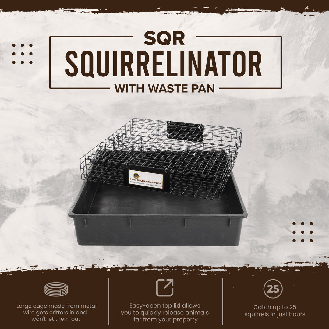 Rugged Ranch SQR Live Squirrel Chipmunk Metal 2 Door Trap Cage (Open Box) - VMInnovations