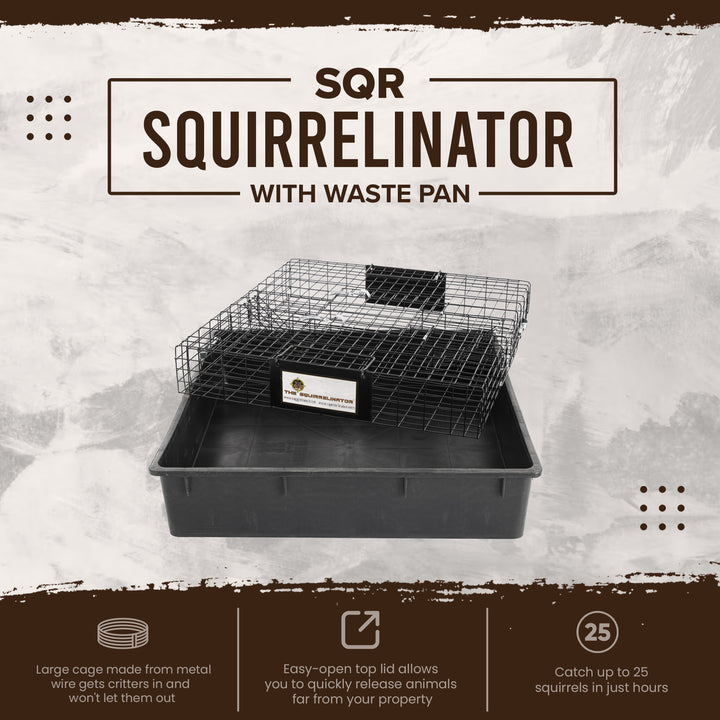 Rugged Ranch SQR Live Squirrel Chipmunk Metal 2 Door Trap Cage (Open Box) - VMInnovations