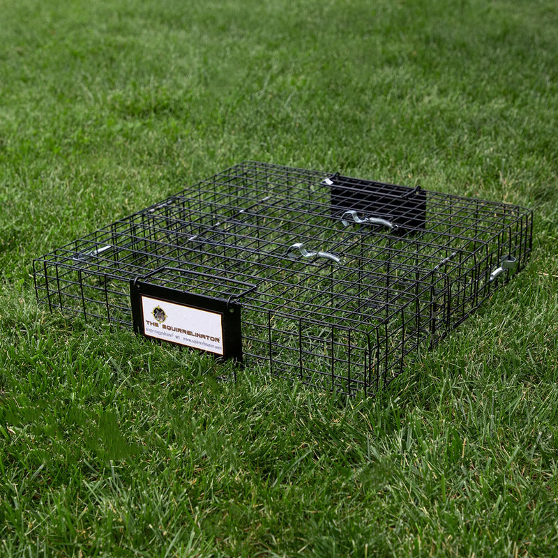 Rugged Ranch SQR Live Squirrel Chipmunk Metal 2 Door Trap Cage (Used)