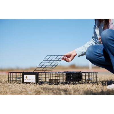 Rugged Ranch SQR Live Squirrel Chipmunk Metal 2 Door Trap Cage (Used) - VMInnovations