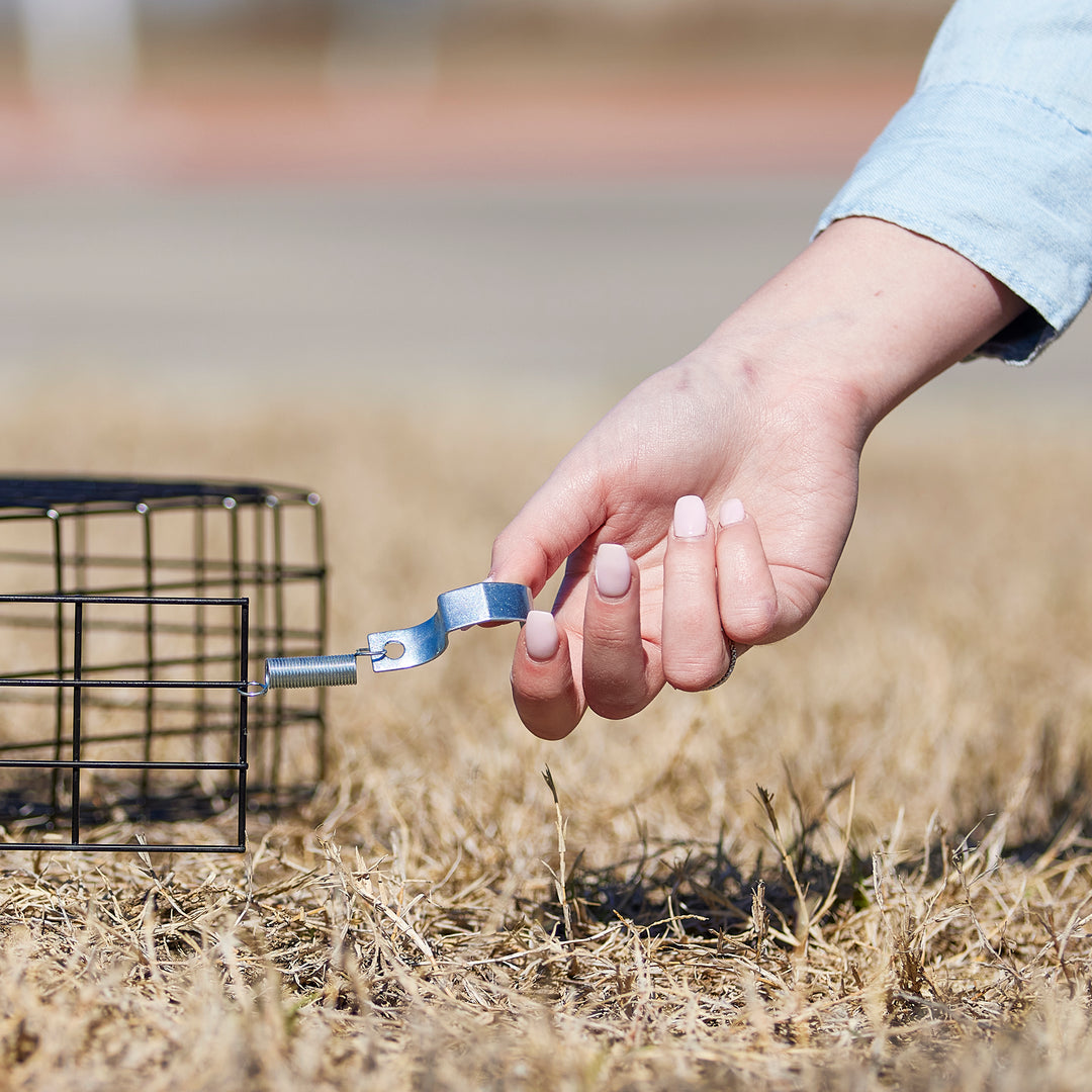 Rugged Ranch SQR Live Squirrel Chipmunk Metal 2 Door Trap Cage (Used) - VMInnovations