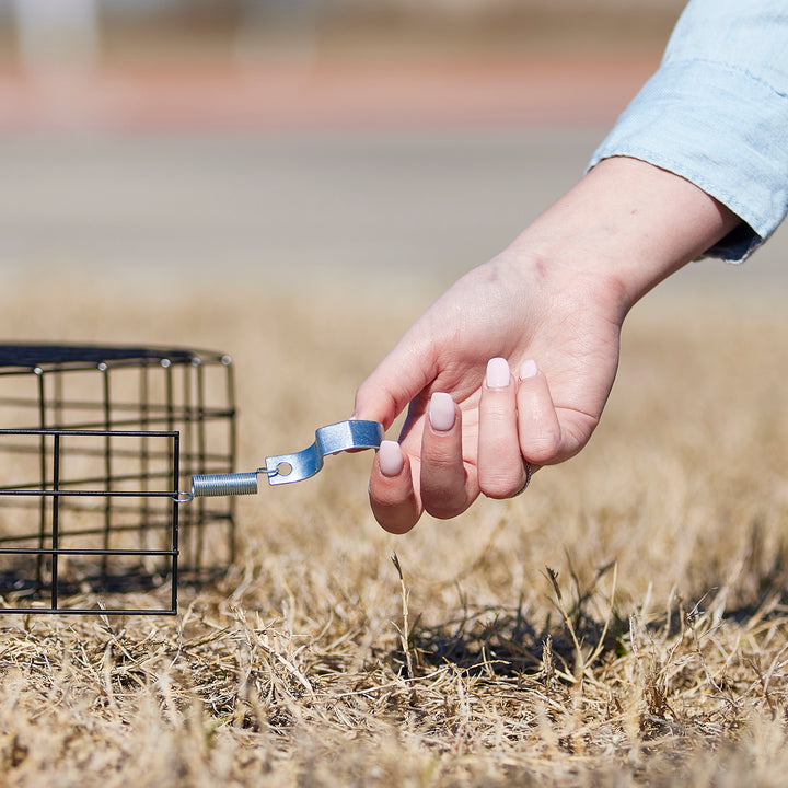 Rugged Ranch SQR Live Squirrel Chipmunk Metal 2 Door Trap Cage (Used) - VMInnovations