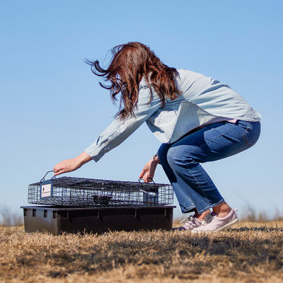 Rugged Ranch SQR Live Squirrel Chipmunk Metal 2 Door Trap Cage (Open Box)