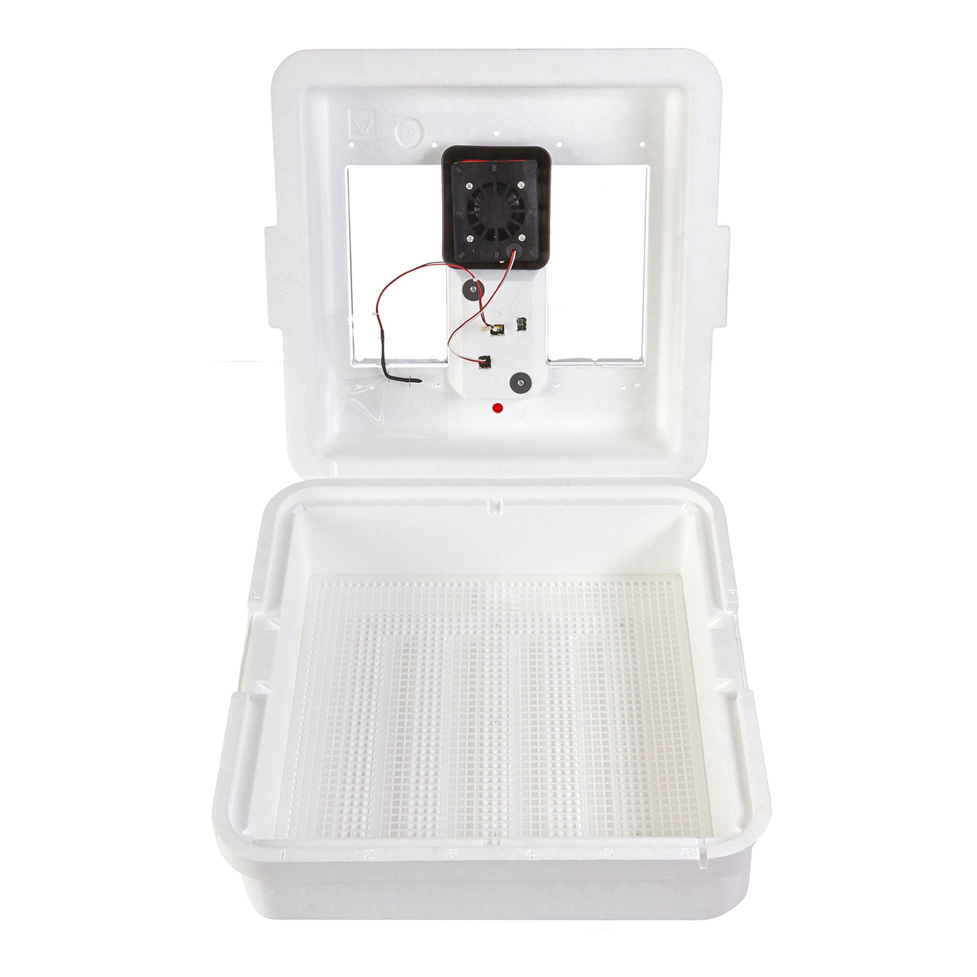 Little Giant 9300 Digital LCD Still Air Incubator for 41 Eggs, White (4 Pack)