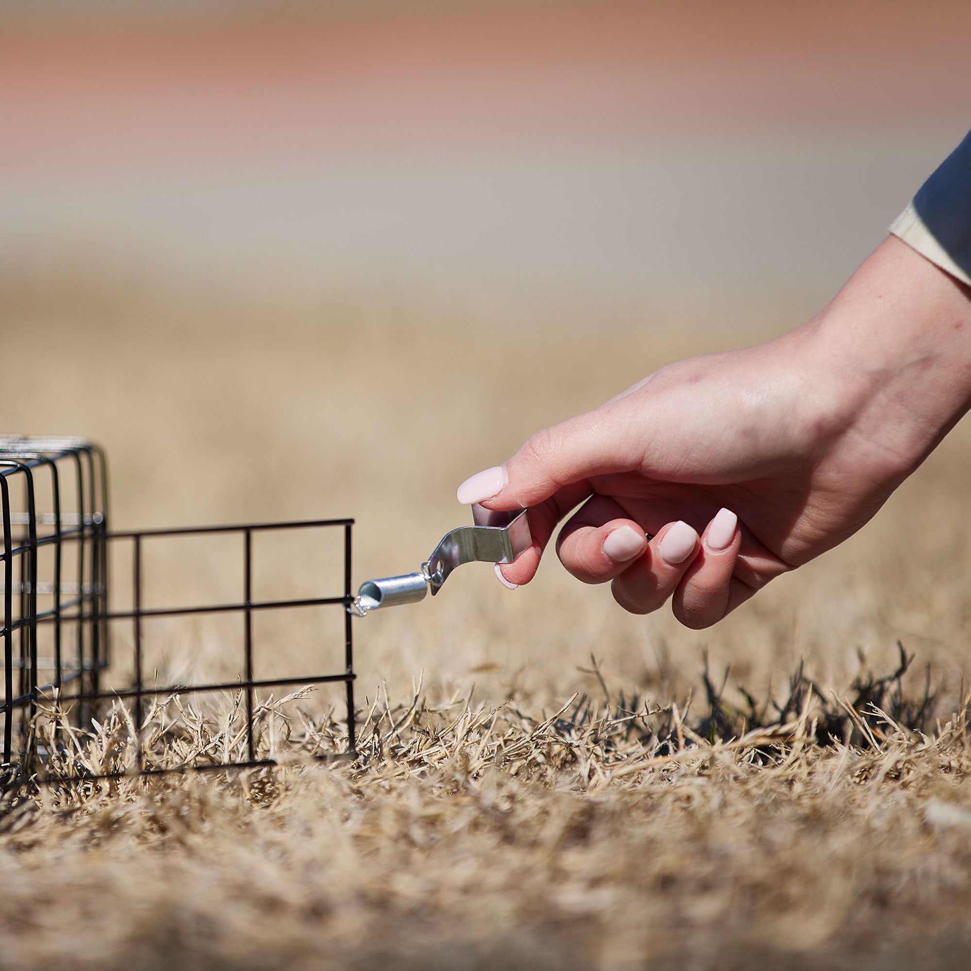 Rugged Ranch Squirrelinator Squirrel Chipmunk Metal 2 Door Trap Cage (4 Pack) - VMInnovations