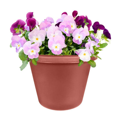 The HC Companies 12 Inch Plastic Outdoor Classic Flower Pot Planter, Terra Cotta