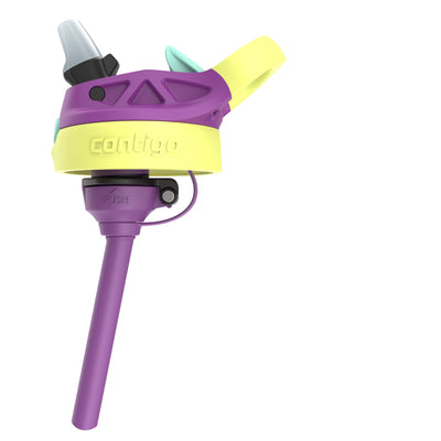 Contigo 4 Pack Kids Aubrey 14 oz Water Bottle with AutoSpout Straw, Grape Forest - VMInnovations