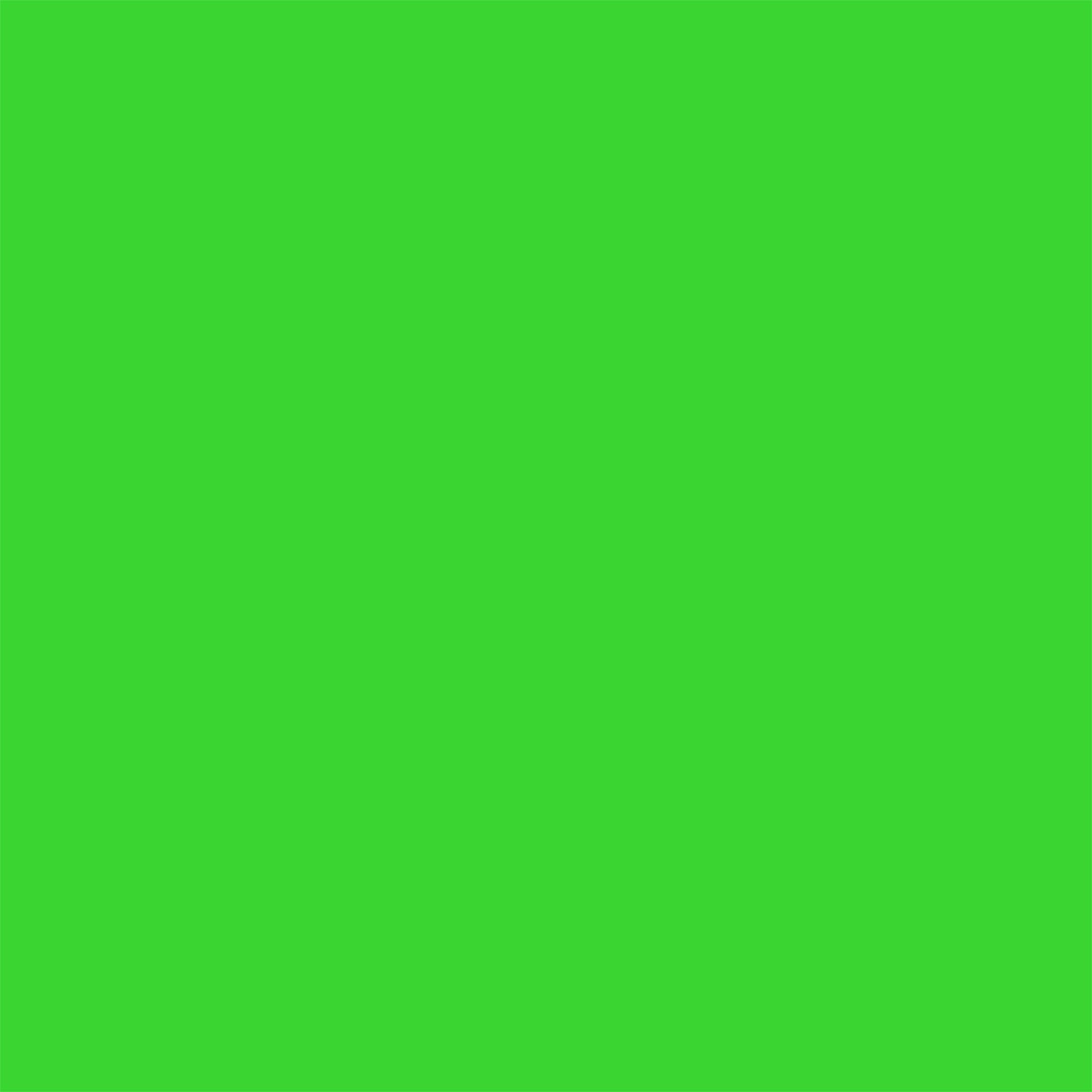 TRC Recreation Medium USCG Approved Child Vinyl Vest, Fierce Green (Used) - VMInnovations