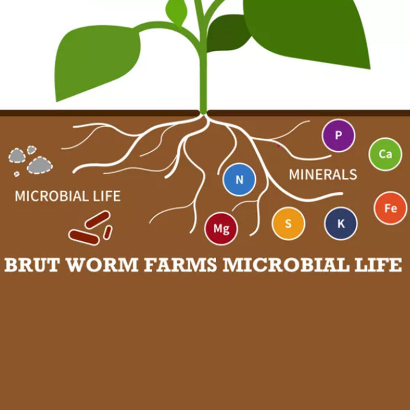 Brut Worm Farms Organic Worm Castings Soil Builder, 30 Pound Bag (8 Pack)