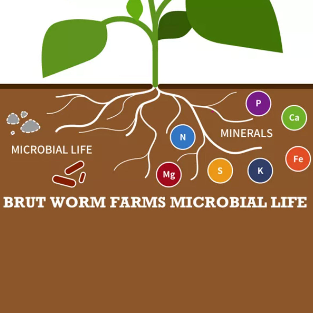 Brut Worm Farms Organic Worm Castings Soil Builder Set, 30 Pound Bag (2 Pack)