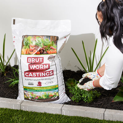 Brut Worm Farms Organic Worm Castings Soil Builder Set, 30 Pound Bag (2 Pack)