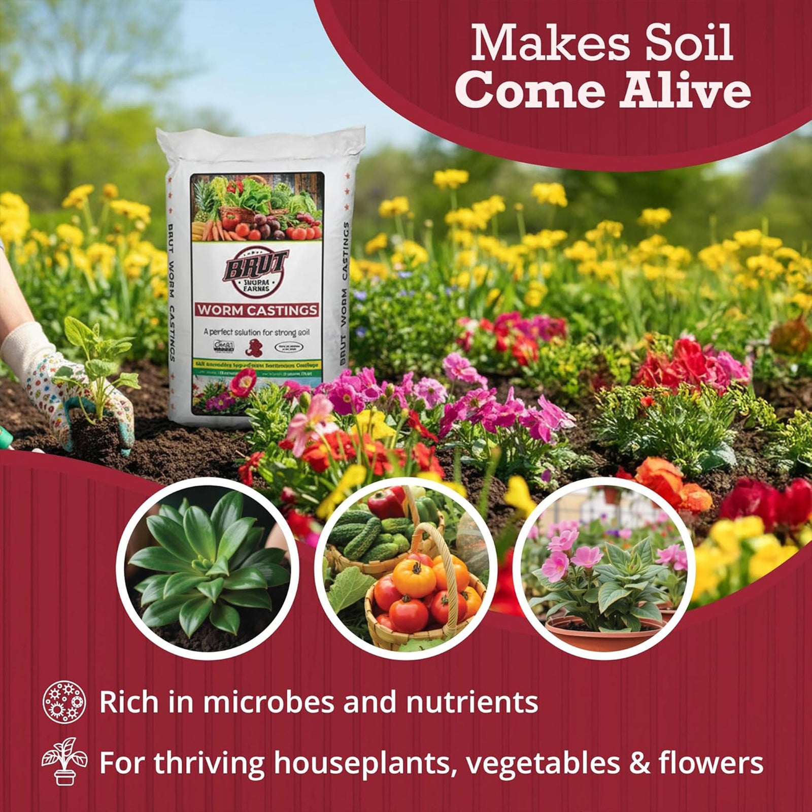 Brut Worm Farms Organic Worm Castings Soil Builder Set, 30 Pound Bag (2 Pack) - VMInnovations