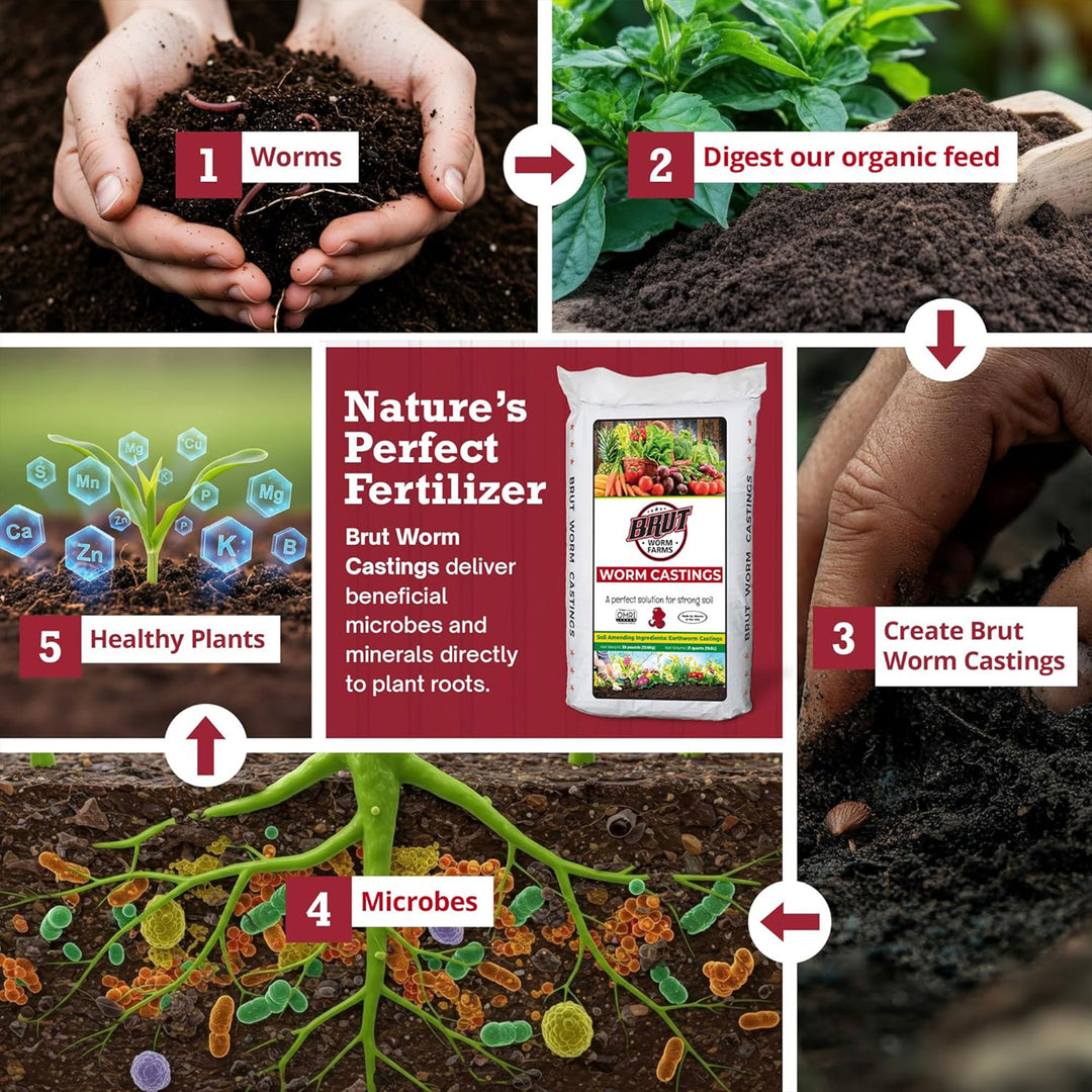 Brut Worm Farms Organic Worm Castings Soil Builder, 30 Pound Bag (10 Pack)