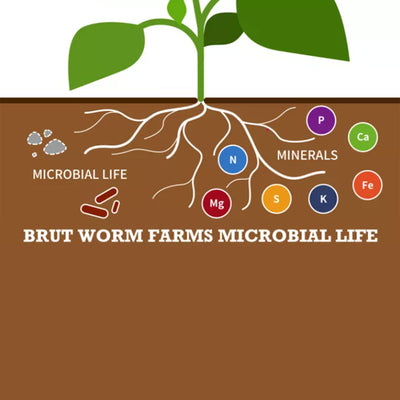 Brut Worm Farms Super Soil All Purpose Rich Dark Blend Natural Organic Soil