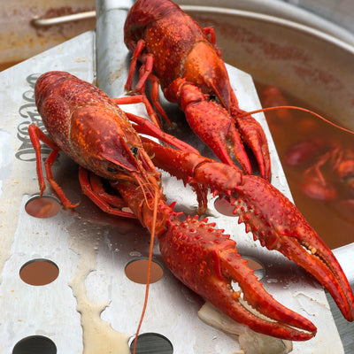 Bayou Classic SP2 367000 BTU 18 Inch Dia Crawfish Boil Propane Double Jet Burner