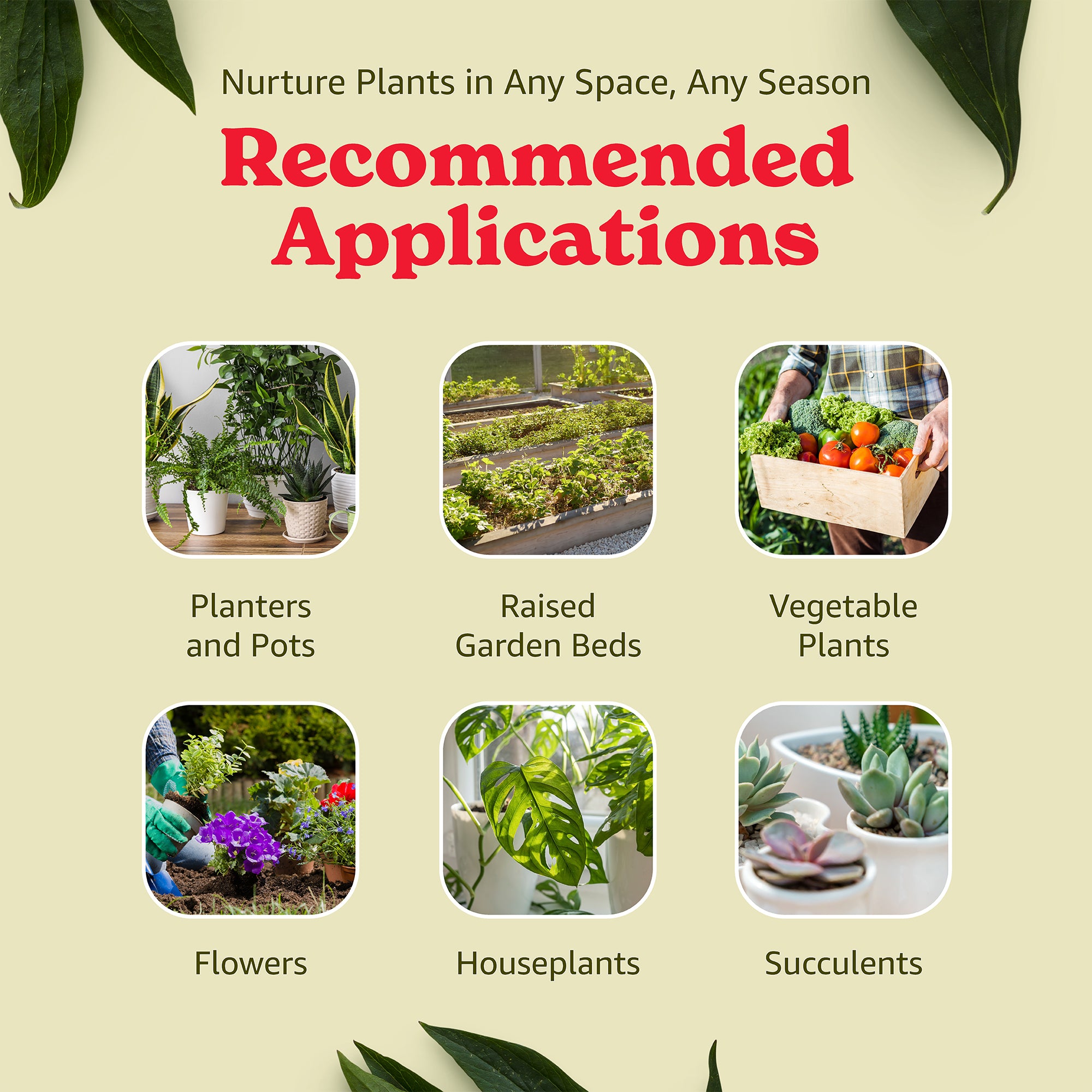 Michigan Peat 1420P Baccto Lite Premium Outdoor Potting Soil, 20 Quart (4 Pack)