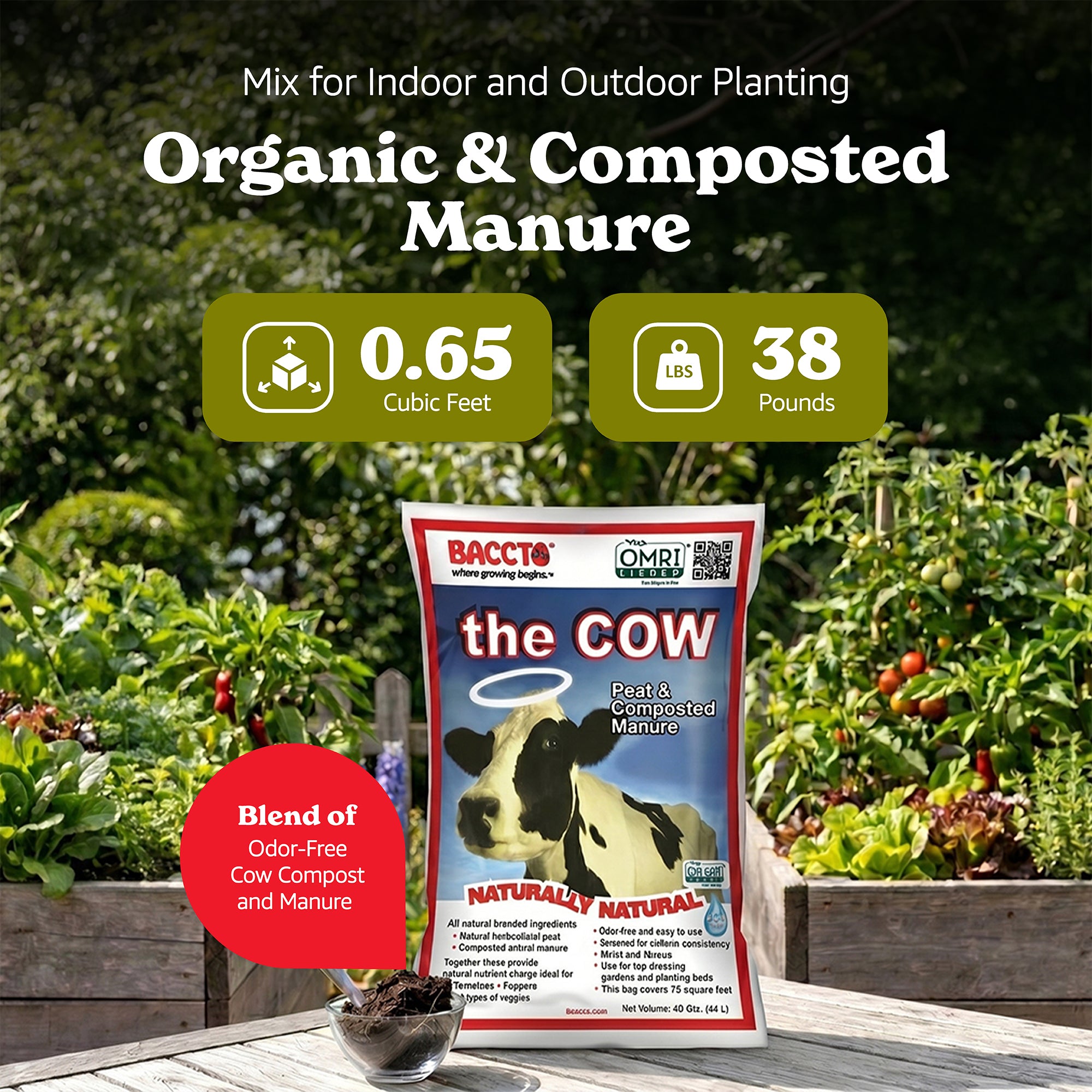 Baccto Wholly Cow Horticulture Peat & Composted Manure, 40 Quarts (8 Pack)