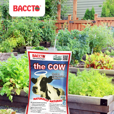 Michigan Peat 1640 Wholly Cow Horticultural Compost and Manure, 40 Qt (3 Pack)