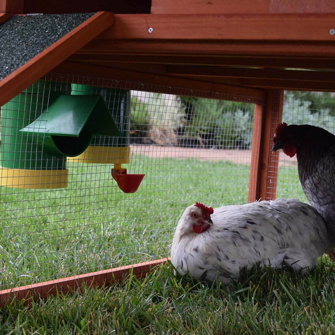 Rugged Ranch High End Hen 2 Gallon Poultry Waterer and Mounting System (2 Pack)