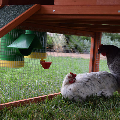 Rugged Ranch High End Hen 2 Gallon Poultry Waterer and Mounting System (2 Pack) - VMInnovations