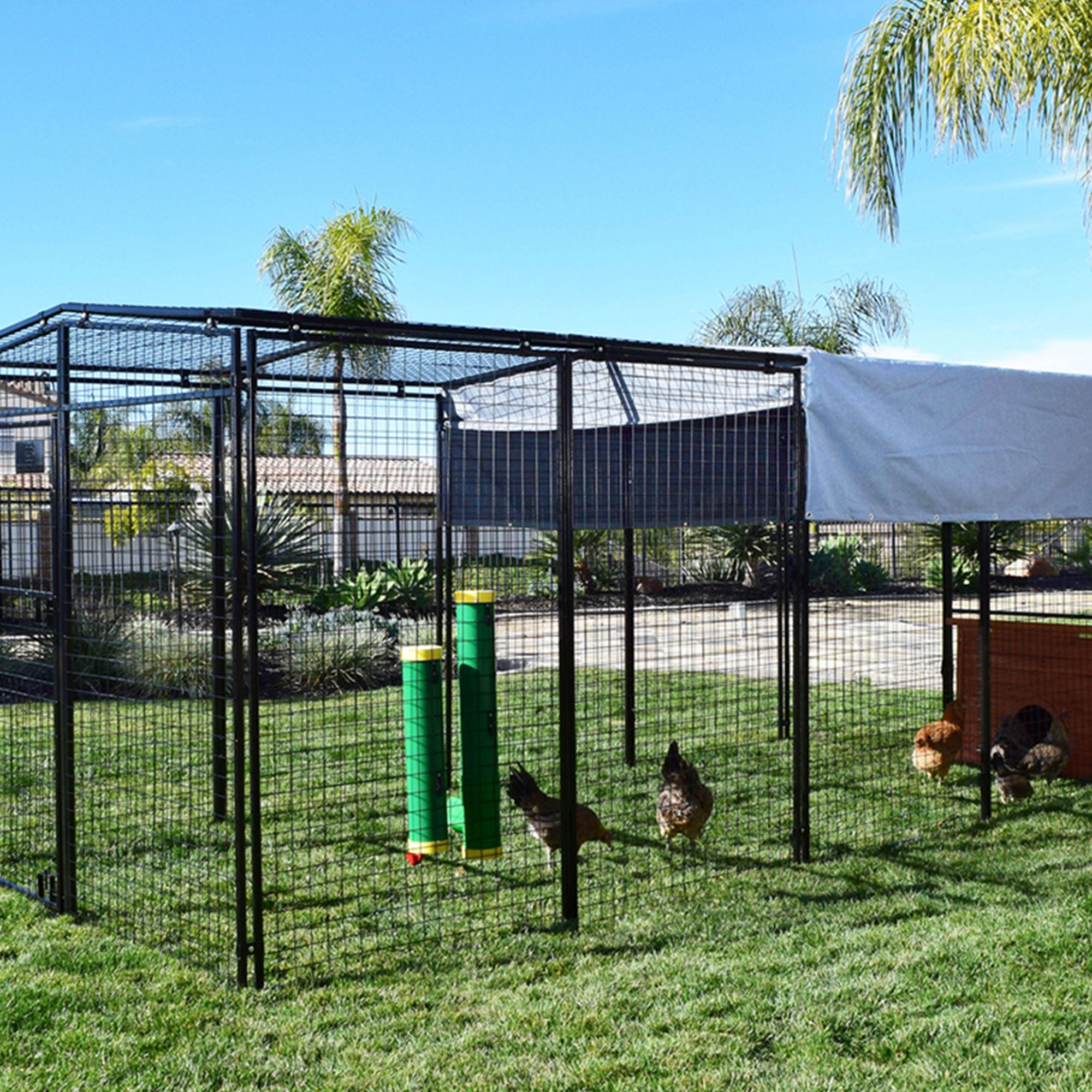 Rugged Ranch High End Hen Elevated 2 Gallon Poultry Waterer and 10 Pound Feeder