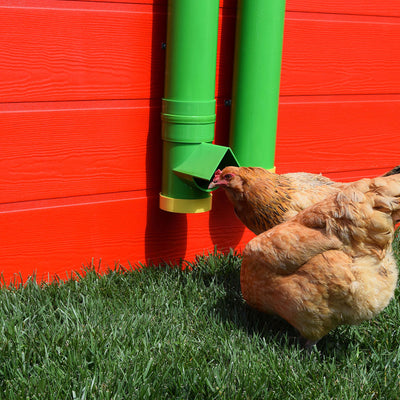 Rugged Ranch High End Hen Elevated 2 Gallon Poultry Waterer and 10 Pound Feeder