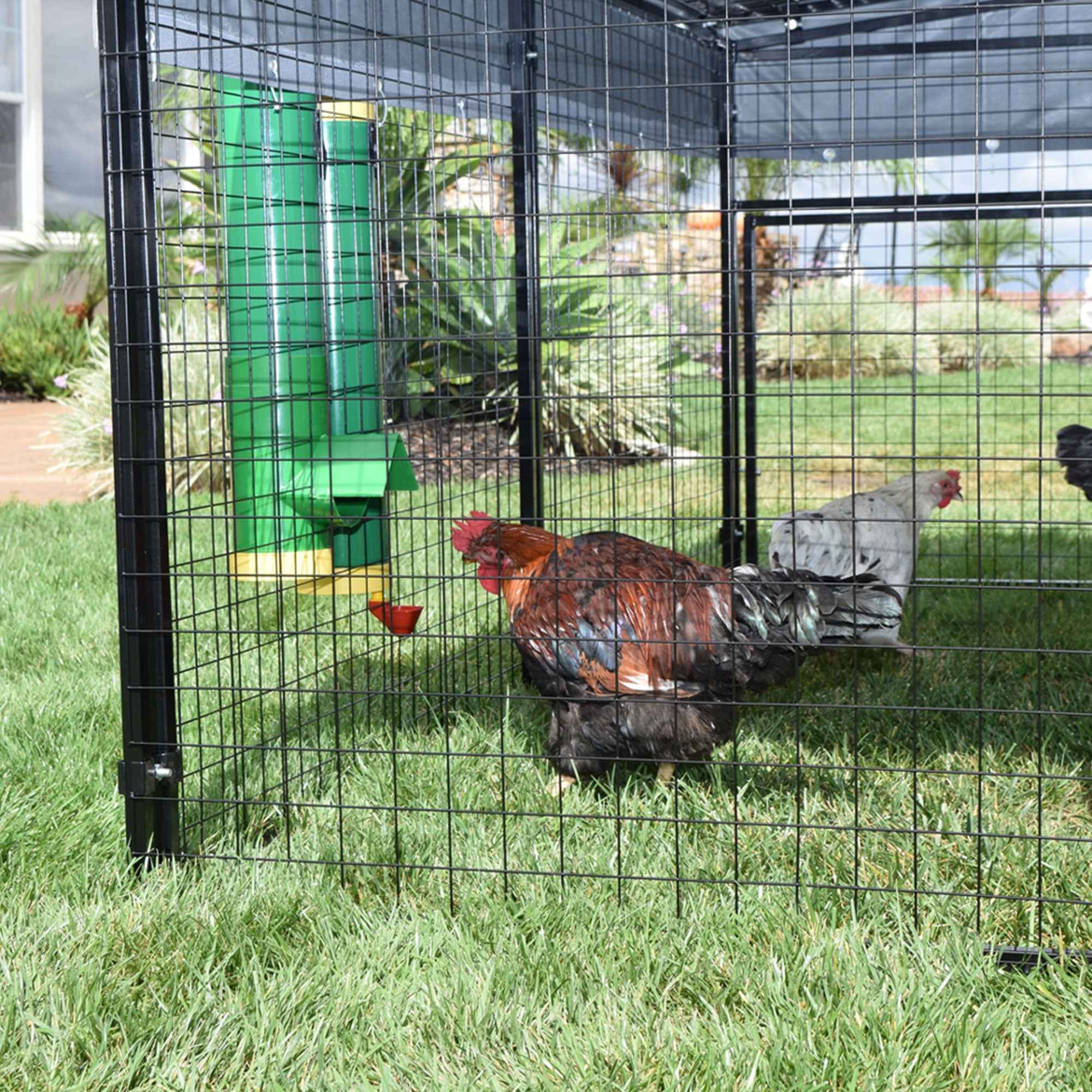 Rugged Ranch High End Hen Elevated 2 Gallon Poultry Waterer and 10 Pound Feeder