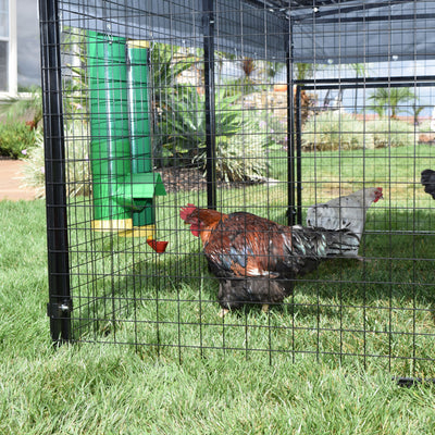 Rugged Ranch High End Hen Elevated 2 Gallon Poultry Waterer and 10 Pound Feeder