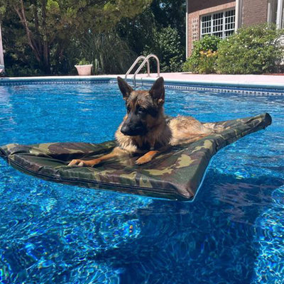 The Better Options Company Camo Lazy Dog Pool Lounger and Lake Raft Float, Large