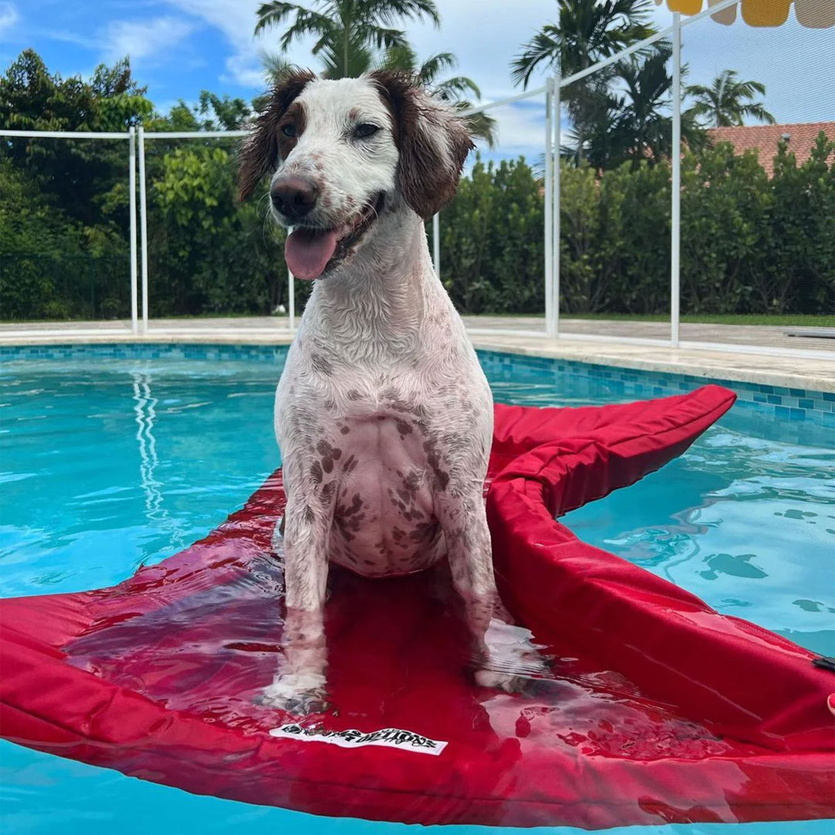 The Better Options Company Lazy Dog Pool and Lake Float (For Parts)