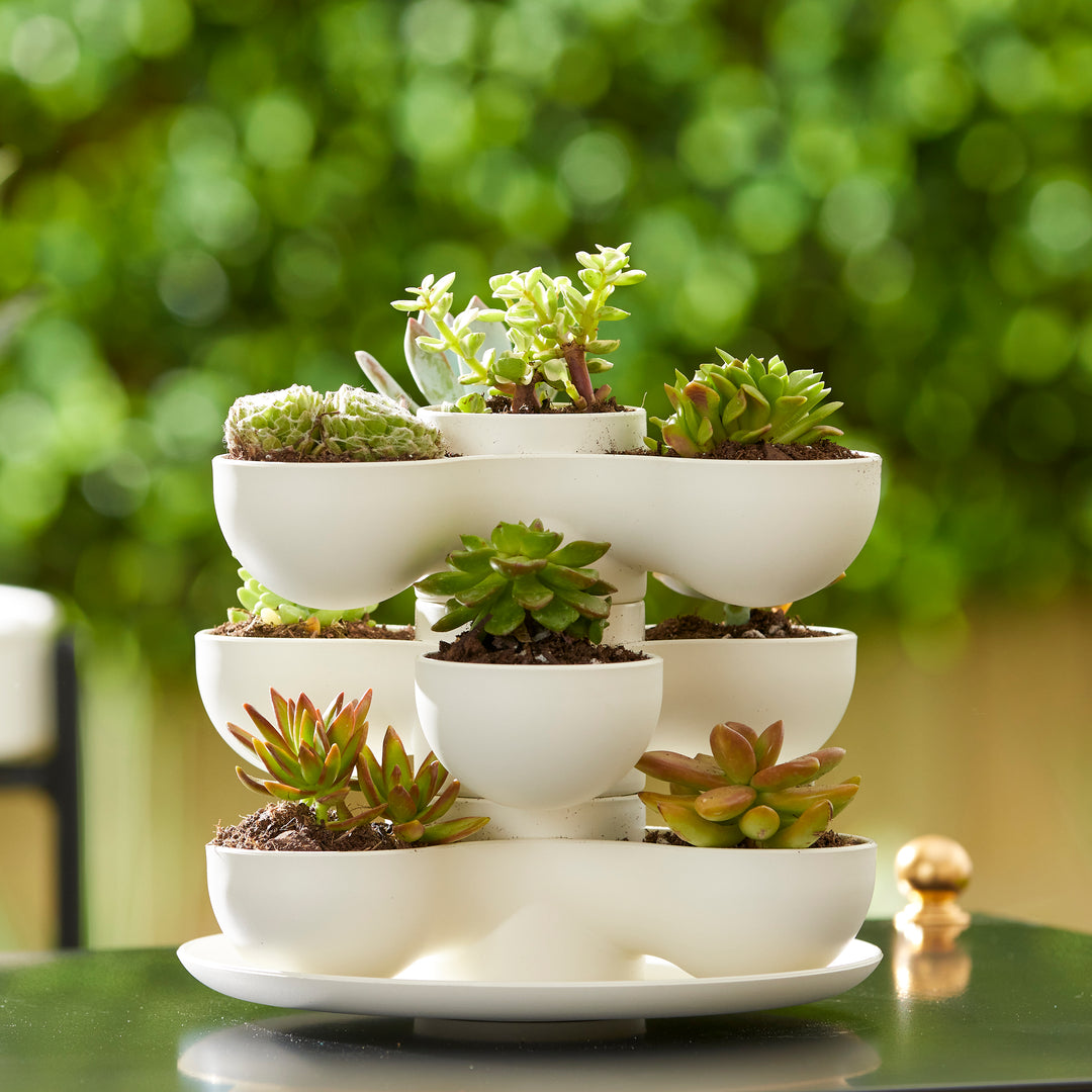 The HC Companies 8" Pixie Indoor Stacking Succulent Planter Pot, Vanilla Bisque